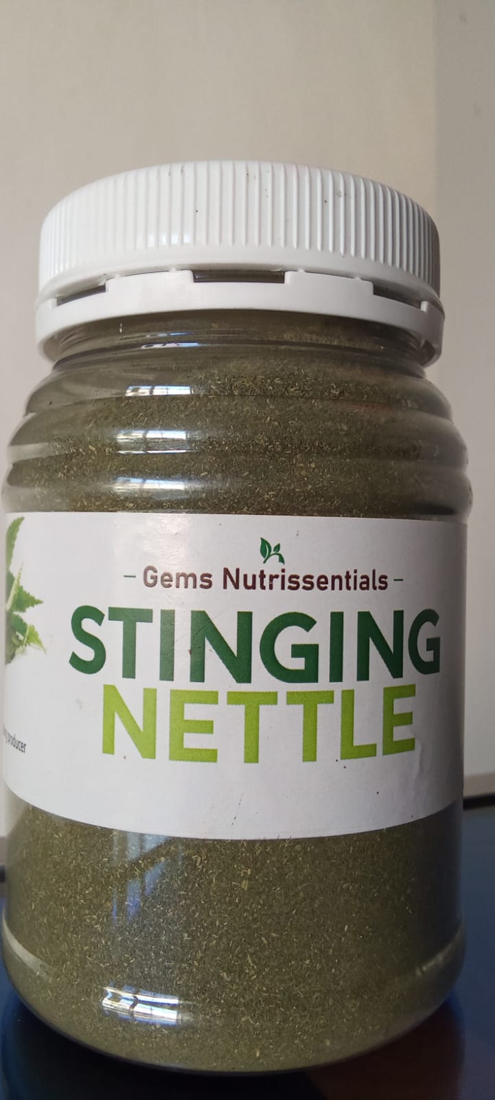 Stinging Nettle